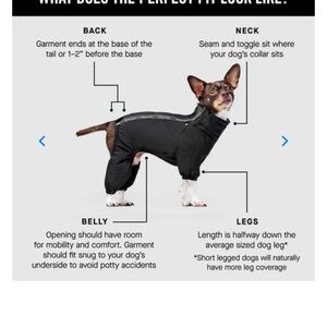 Canada Pooch black Snowsuit for dog